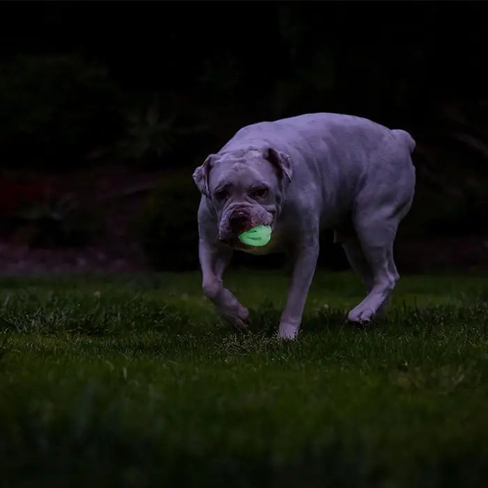 Chuckit! Max Glow Air Fetch Ball Glow-in-the-Dark Toy Medium
