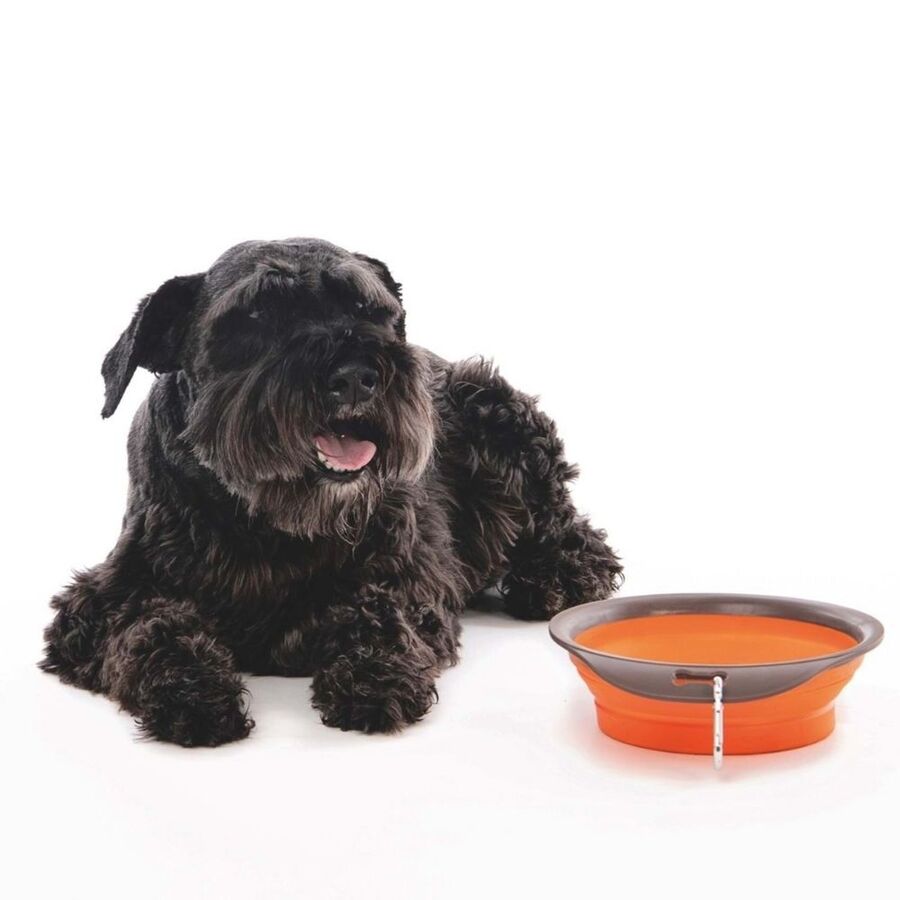 M-Pets On The Road Collapsible Travel Pet Bowl Orange 420ml