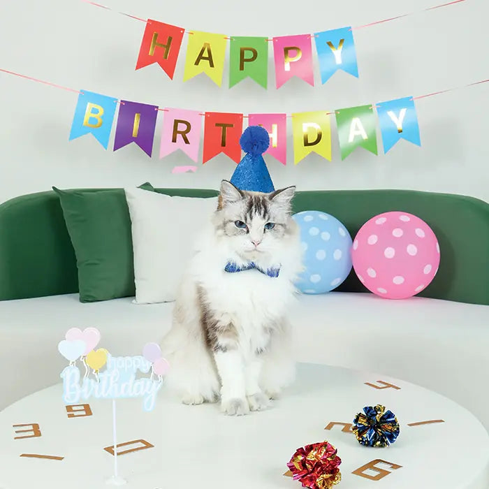 M-Pets Party Time Birthday Set for Male Cats 1 Count