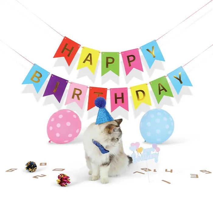 M-Pets Party Time Birthday Set for Male Cats 1 Count