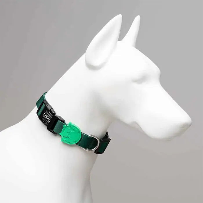 Lindo Brazil Dog Collar Stylish Daily Design Small 30-44cm