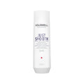 Goldwell Dualsenses Just Smooth Taming Shampoo for Frizz Control 250ml