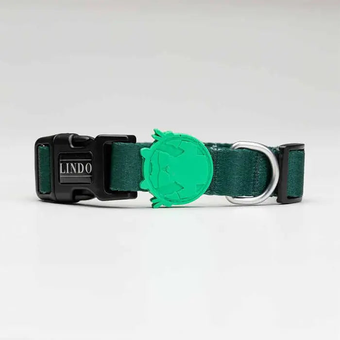 Lindo Brazil Dog Collar Adjustable Design Medium 37-56cm