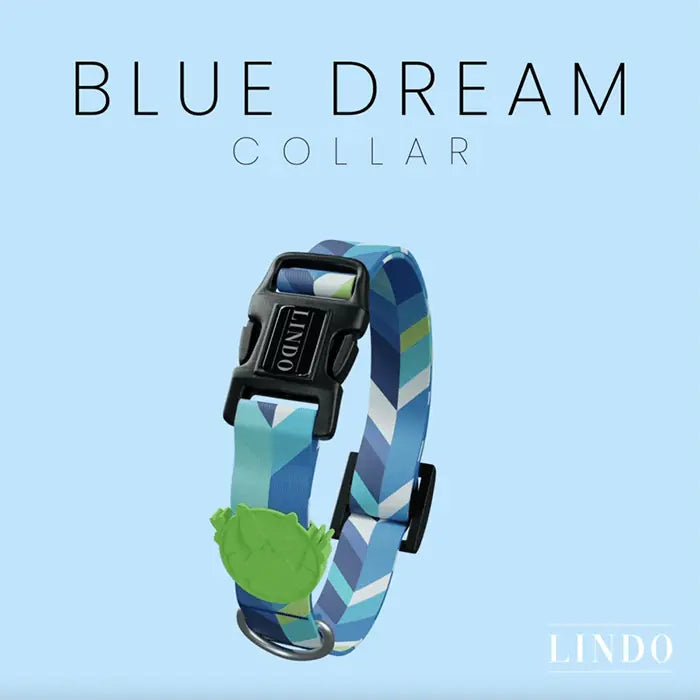 Lindo Blue Dream Adjustable Dog Collar for Medium Breeds 37-56cm