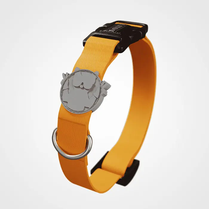 Lindo Royal Small Dog Collar with High-Print Design 30-44cm