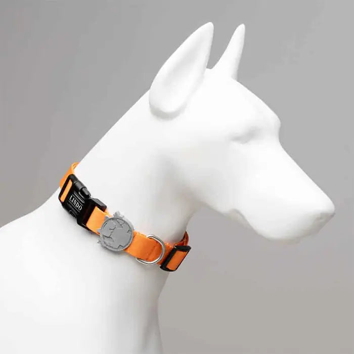 Lindo Royal Dog Collar Adjustable Large 46-70cm
