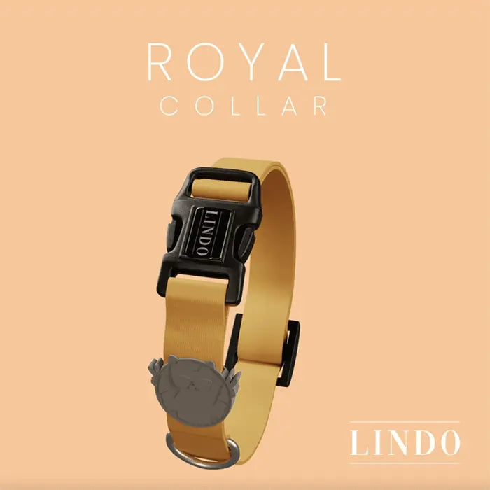 Lindo Royal Small Dog Collar with High-Print Design 30-44cm