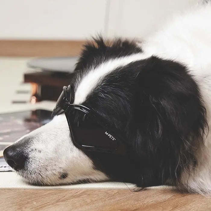 M-Pets Sunny Trailblazer Dog Goggles for Sun Protection Black