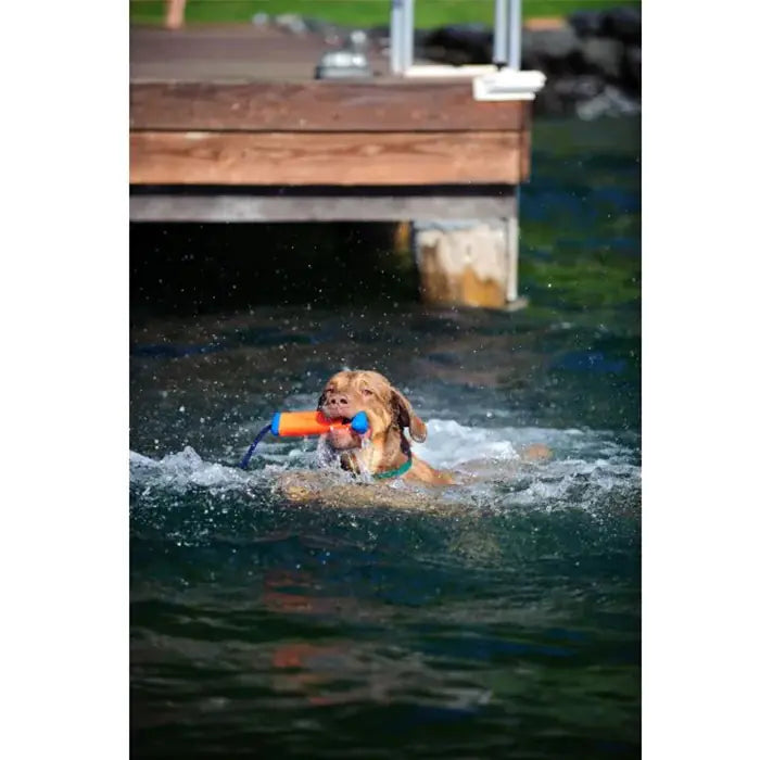 Chuckit! Bumper Floating Dog Toy for Water Play Small