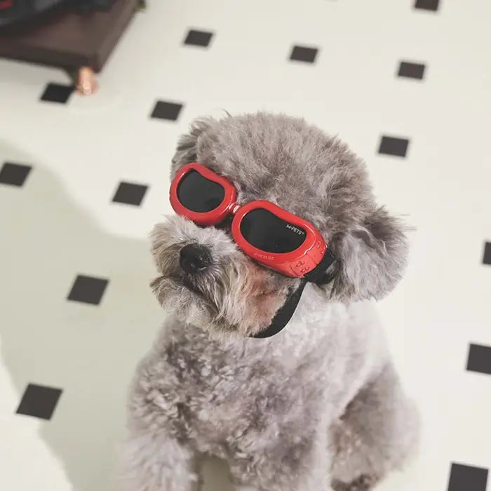 M-Pets Sunny Daytrip Dog Goggles Red Protective Eyewear