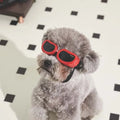 M-Pets Sunny Daytrip Dog Goggles Red Protective Eyewear