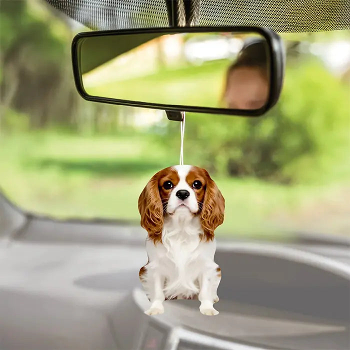 Airgut Pets Charles Car Air Freshener for Fresh Vehicle Interiors
