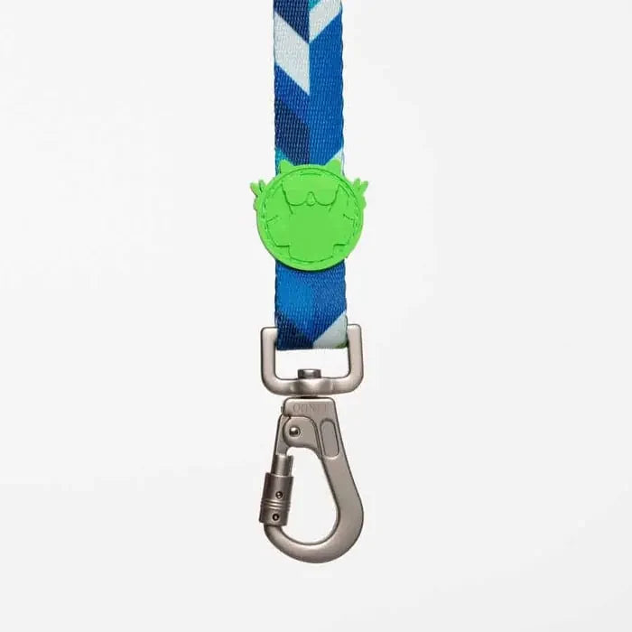 Lindo Blue Dream Durable Dog Leash for Small Breeds