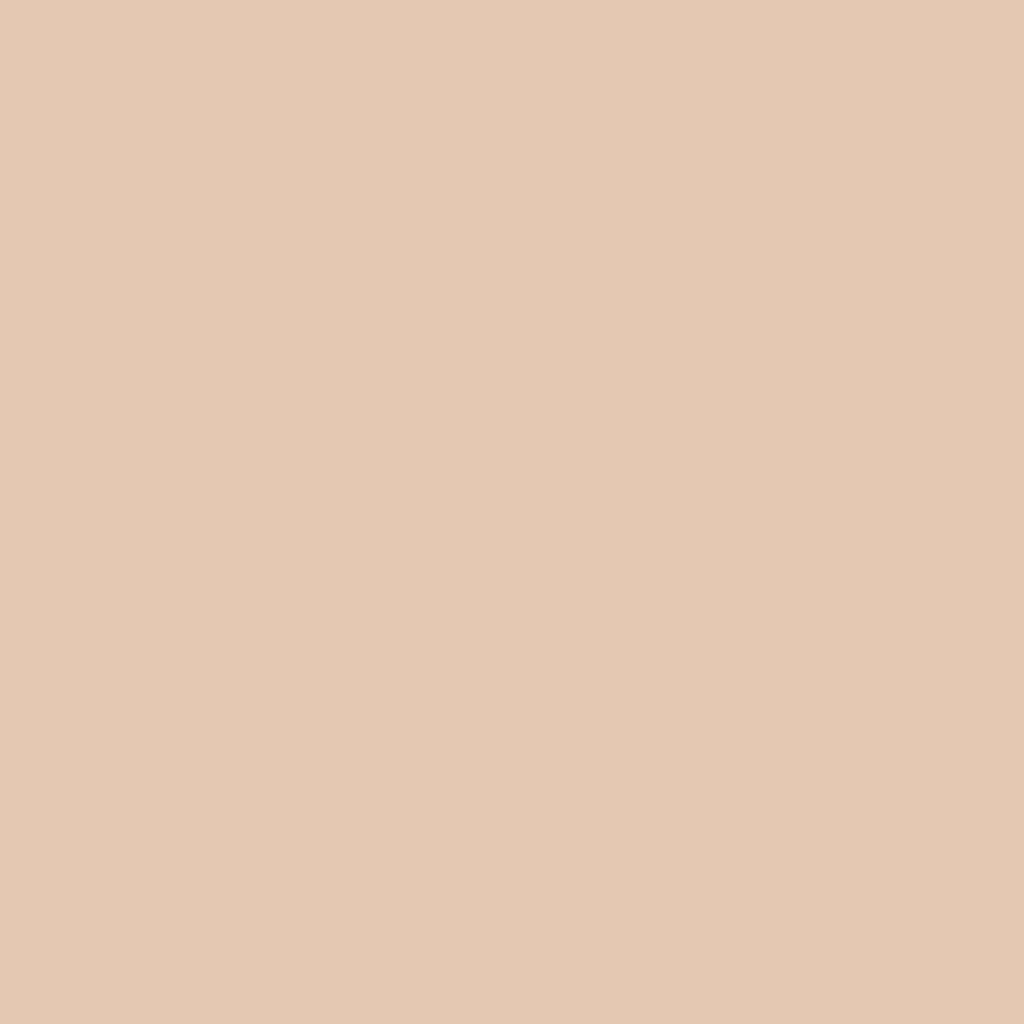 theBalm Anne T. Dotes Tinted Moisturizer Lighter 30ml