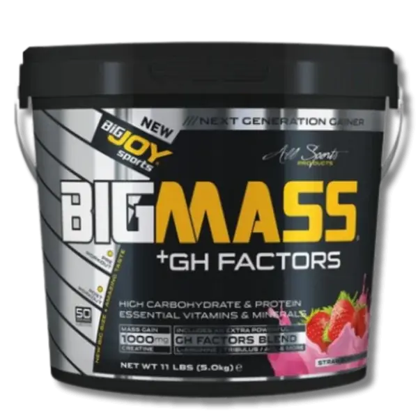 Bigjoy Sports Big Mass +GH Factors Gainer Powder 5000g