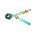 Max & Molly Ducklings Dog Leash Durable Padded Handle X-Small