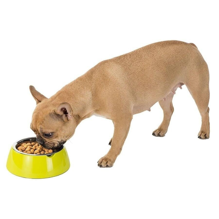Ferplast Jolie Stainless Steel Pet Bowl for Cats & Dogs 500 ml