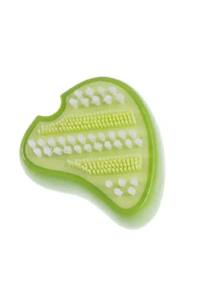 Gimdog Steak Shaped Dog Toothbrush for Dental Care Green