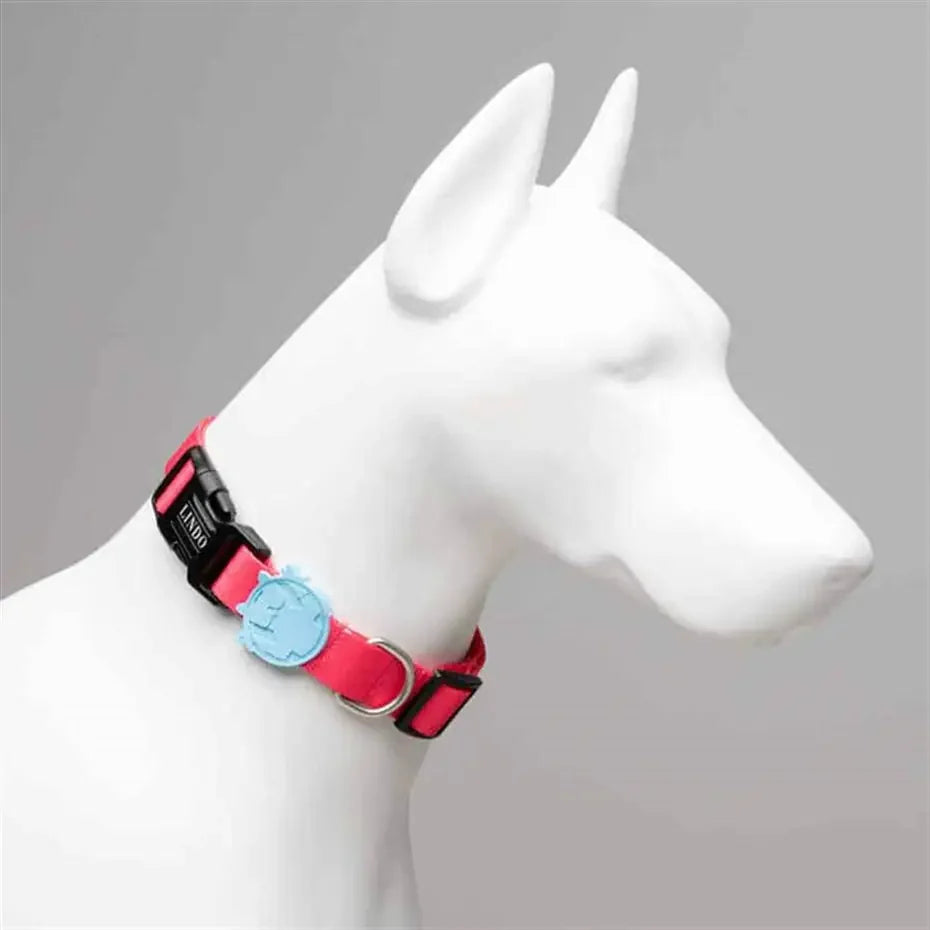 Lindo Bubble Dog Collar Stylish Adjustable Small 30-44cm