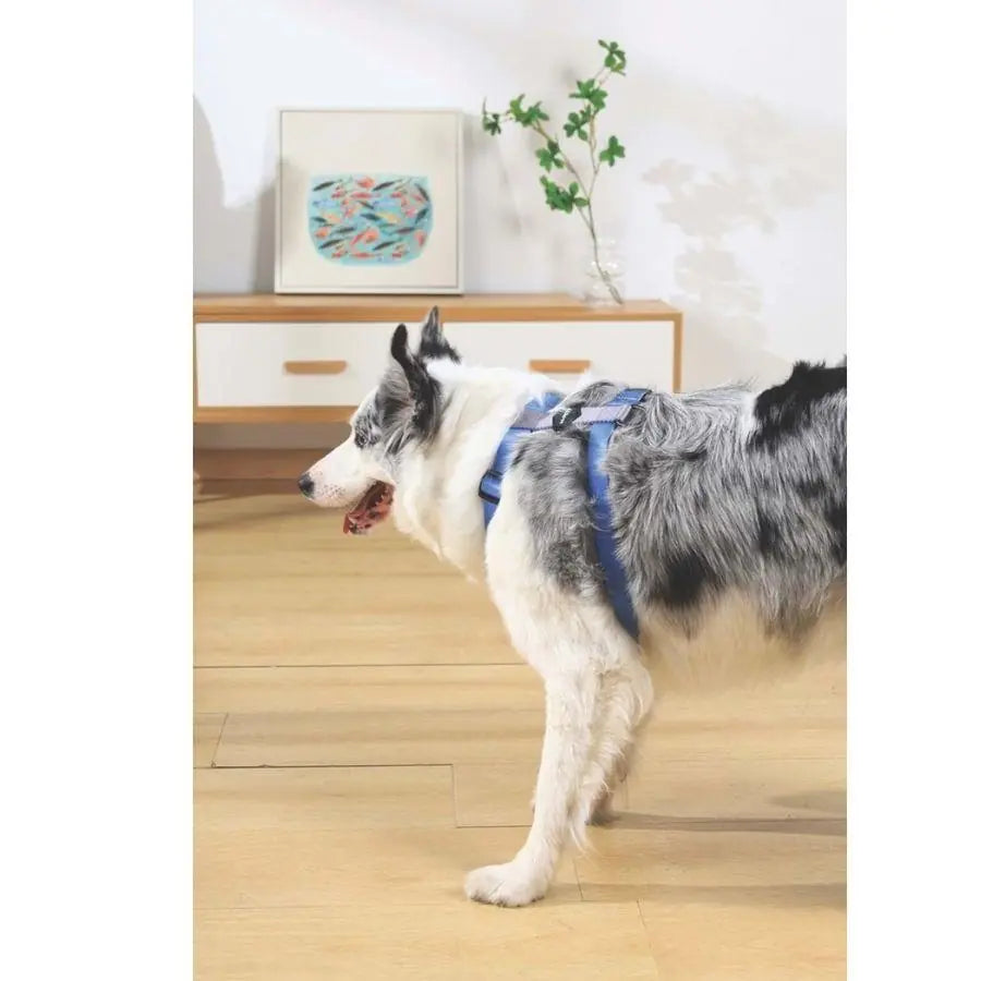 M-Pets Gentle Dog Harness Blue XS for Small Breeds
