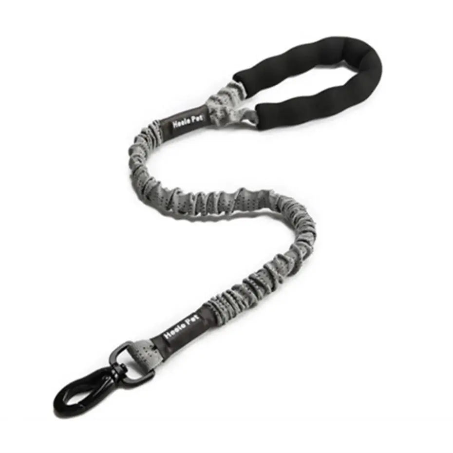 Lion Pet Bungee Dog Leash Flexible Shock Absorbing Lead 80x120cm