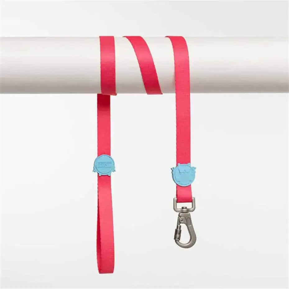 Lindo Bubble Dog Leash Small Durable Walking Lead 120cm