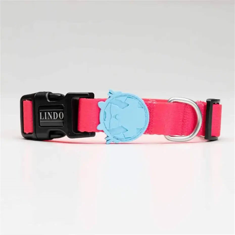 Lindo Bubble Dog Collar Stylish Adjustable Small 30-44cm