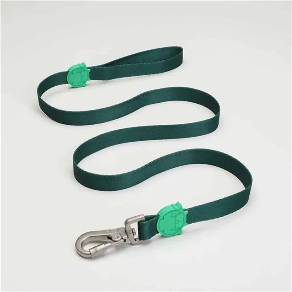 Lindo Brazil Small Dog Leash Durable Walking Lead 120cm