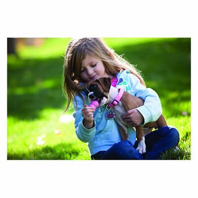 KONG Puppy Rubber Toy Small Breed Natural Rubber XS 6 cm