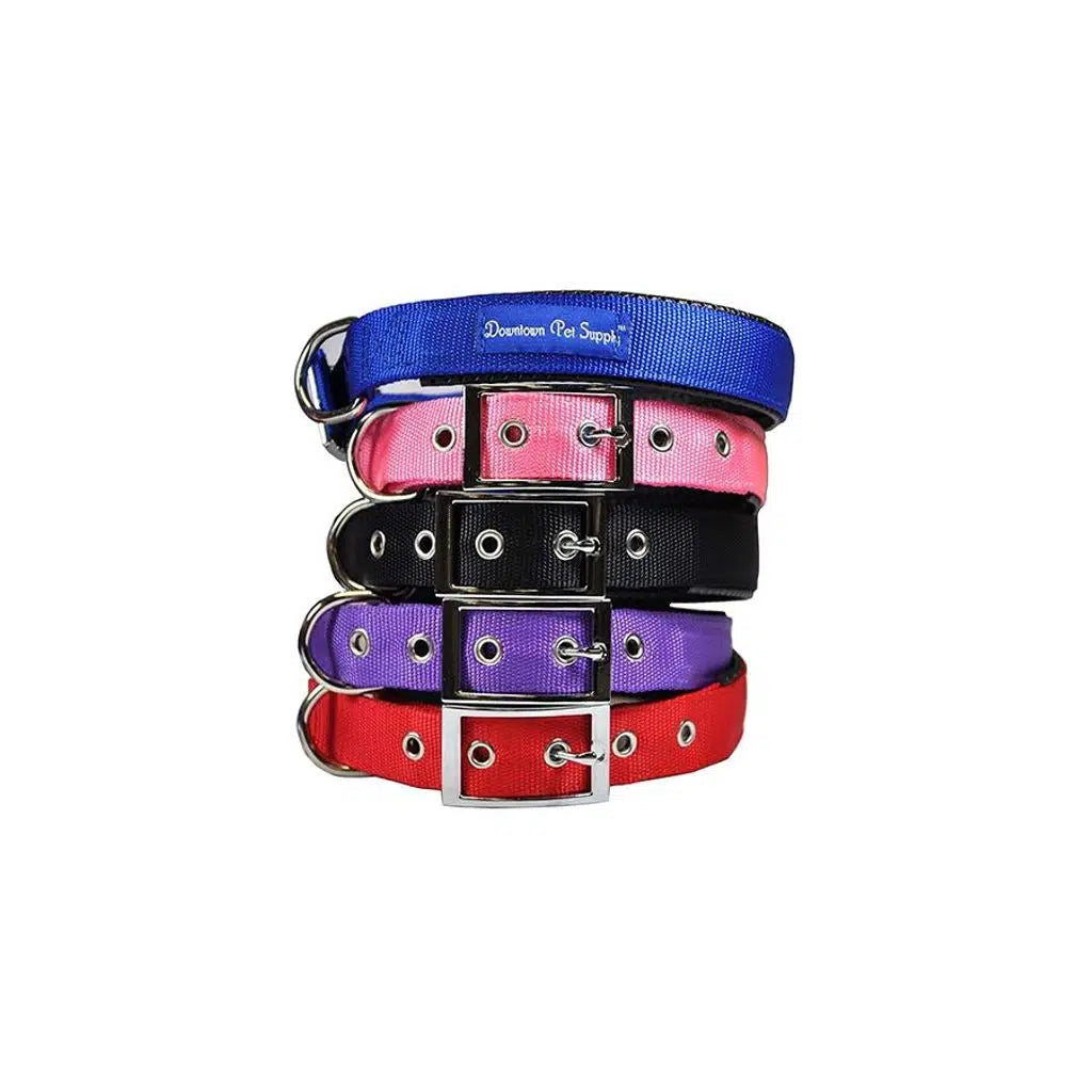 Lion Soft Adjustable Dog Collar for Comfort 2.5x70 cm