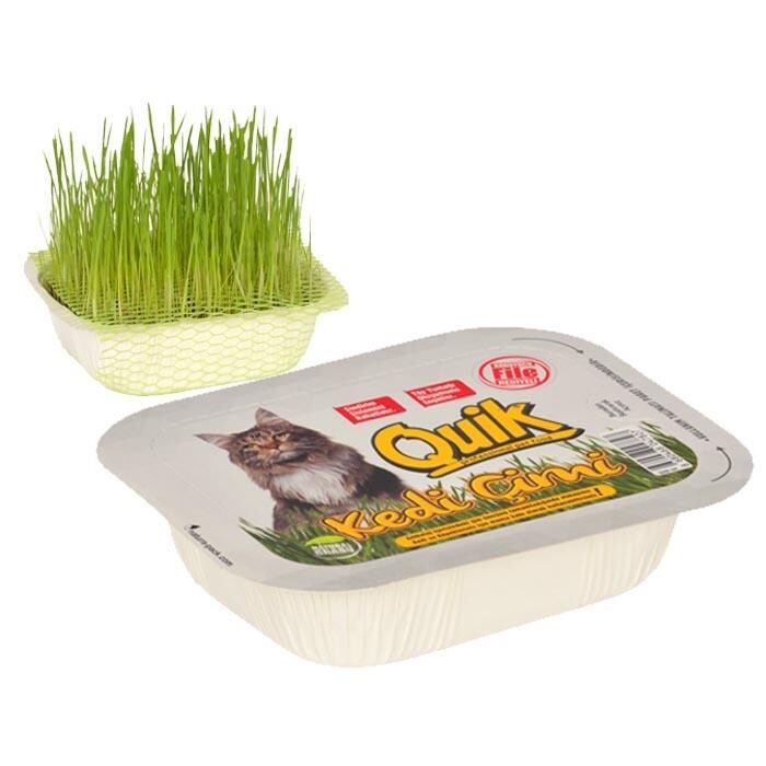 Quik Natural Cat Grass with Protective Mesh Netting Kit