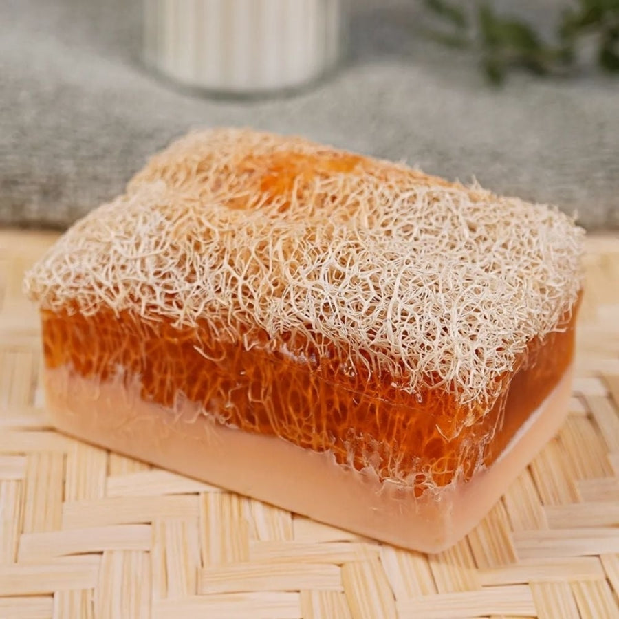 Sinoz Honey & Donkey Milk Soap with Natural Pumpkin Loofah 100g