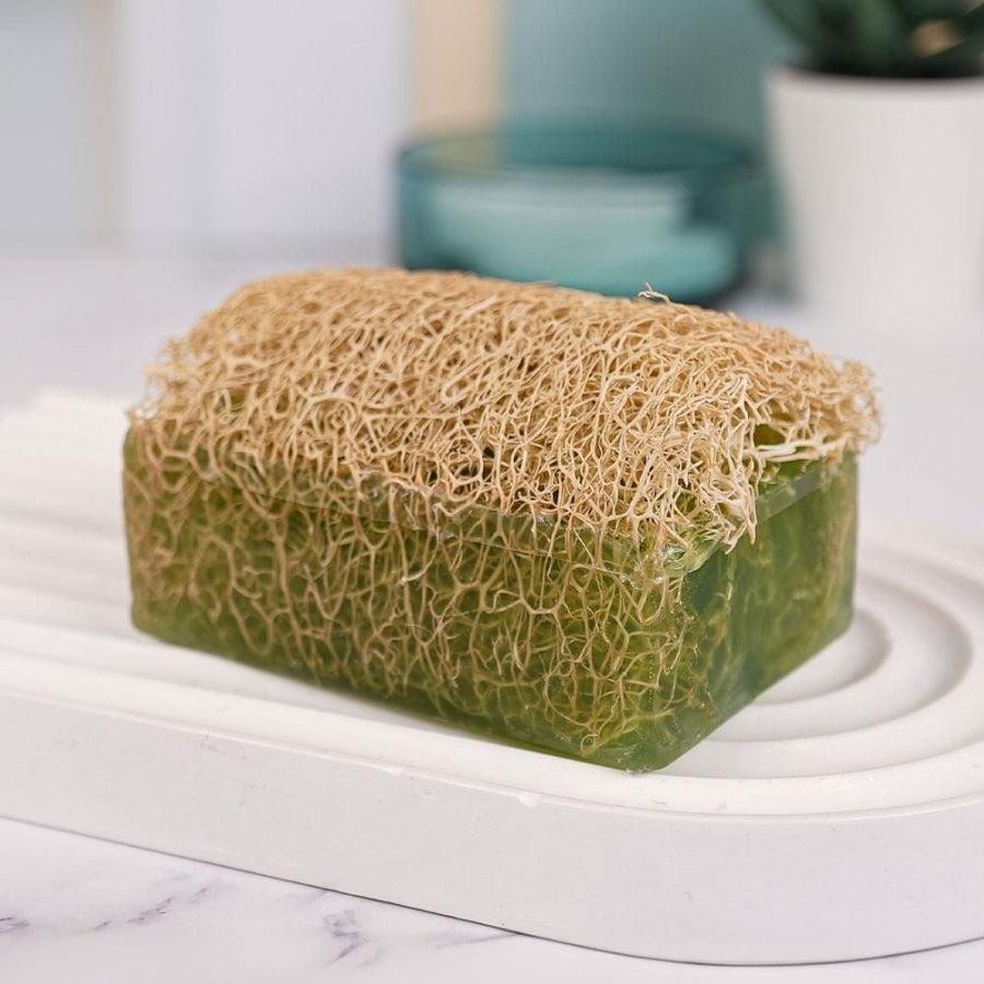 Sinoz Aloe Vera Pumpkin Fiber Face & Body Soap 130g
