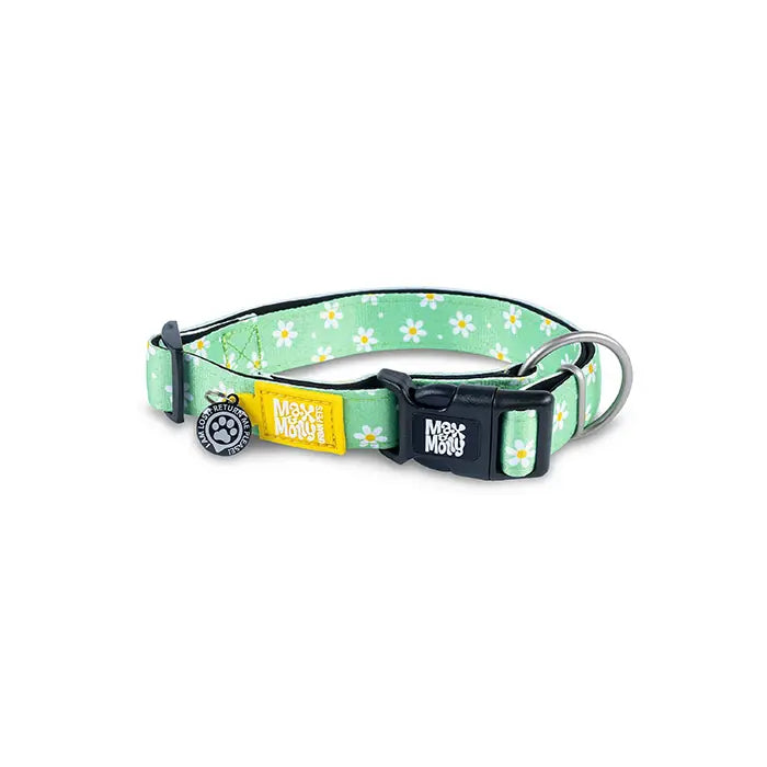 Max & Molly Margarite Smart ID Dog Collar Medium