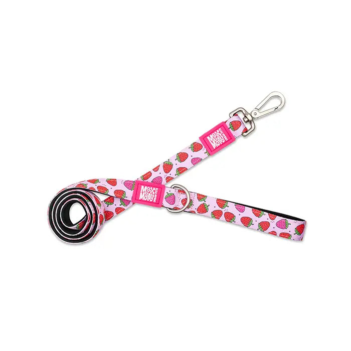 Max & Molly Strawberry Dream Dog Leash for Small Breeds XS