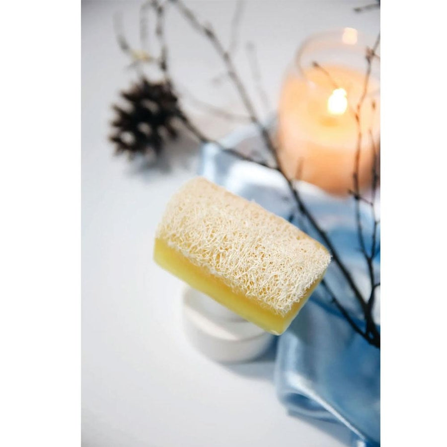 The Touch By Seda Altin Honey Soap with Natural Pumpkin Fiber