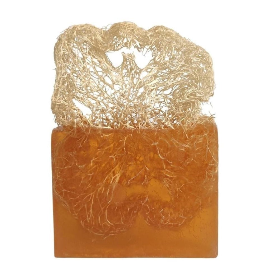Turkishcare Natural Pumpkin Fiber Coconut Oil Soap 120g