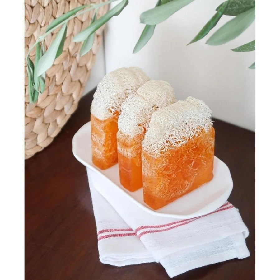 Turkishcare Natural Pumpkin Fiber Coconut Oil Soap 120g