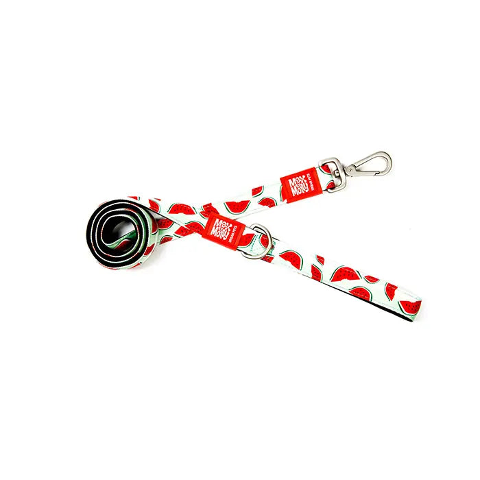 Max & Molly Watermelon Dog Leash for Small Breeds X-Small