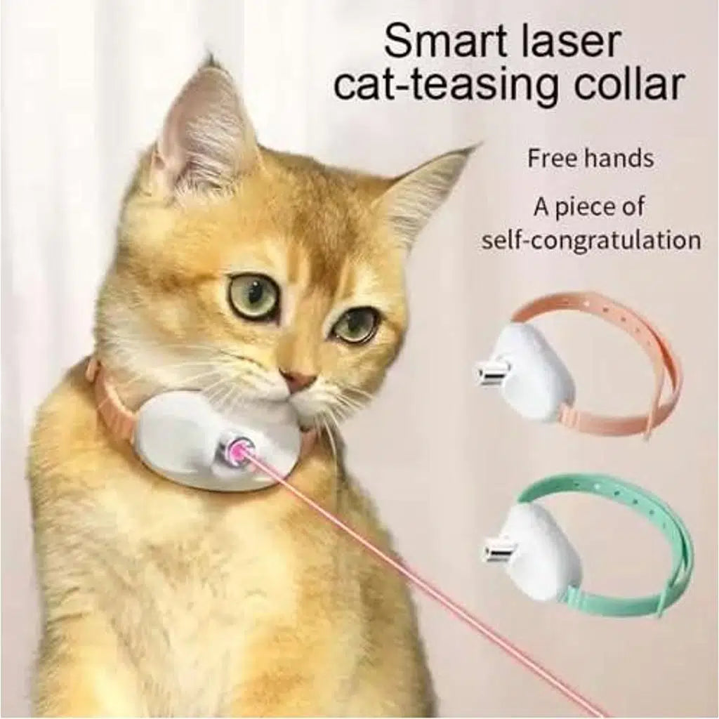 Zampa Rechargeable Laser Cat Collar for Active Play 10 cm
